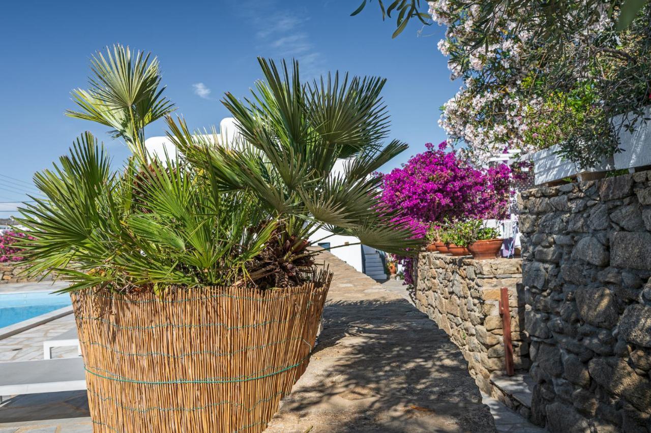 Villa Casa Cozy Mykonos Town