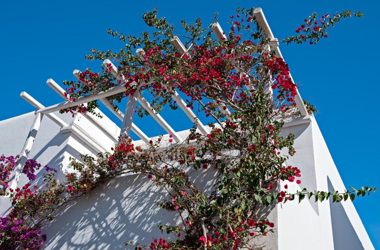 Casa Cozy Villa Mykonos Town